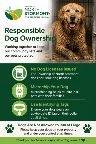 Responsible dog ownership infographic encouraging owners to microchip dogs